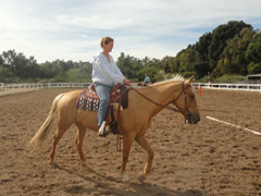 adult riding lessons